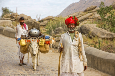 Rajasthan-Shepherds